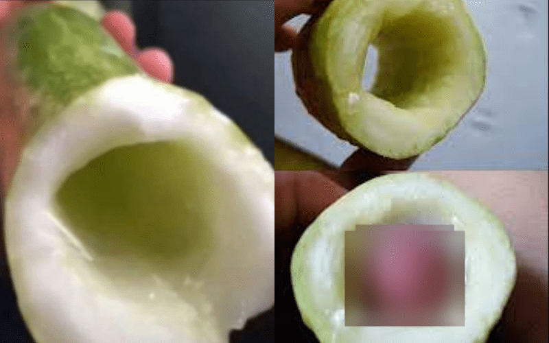 UPDATE!!! Men Now Másturbáte With Cucumber – Guys Can You Try It?