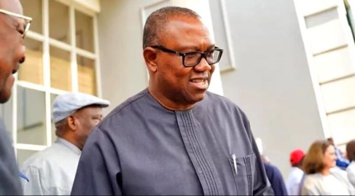 New Nigeriaâ€™ll Work If Leaders Stop Stealing, No Need To Change Constitution â€” Peter Obi